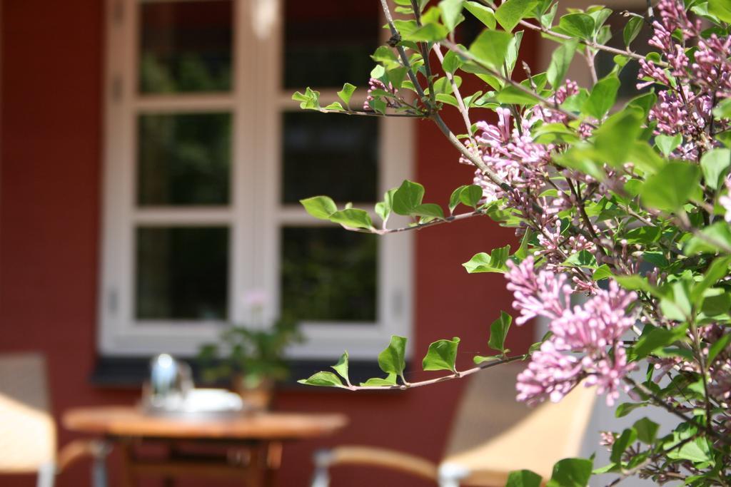 Hotel Aerohus Ærøskøbing Δωμάτιο φωτογραφία